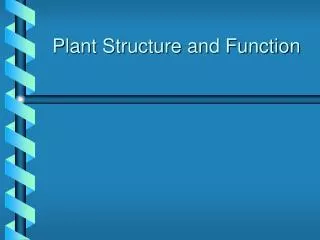 PPT Plant Structure And Function PowerPoint Presentation Free