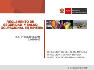 Ppt Divisi N Salud Ambiental Y Ocupacional Direcci N General De