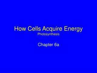 How Cells Acquire Energy Photosynthesis