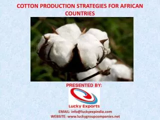 COTTON PRODUCTION STRATEGIES FOR AFRICAN COUNTRIES