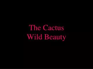 the cactus wild beauty