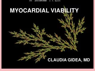 CLAUDIA GIDEA, MD