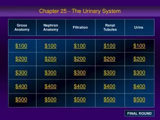 Chapter 25 - The Urinary System