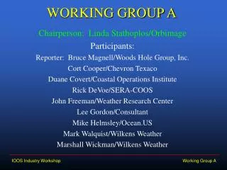 WORKING GROUP A