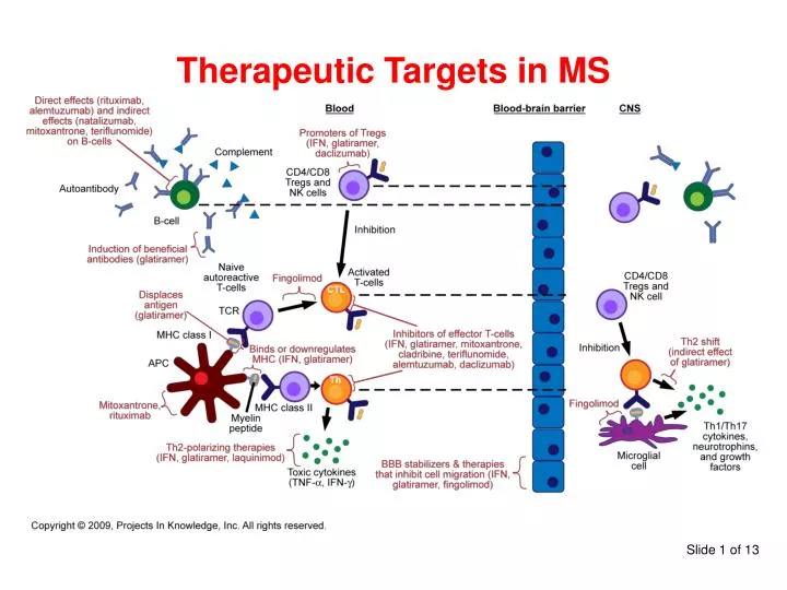 therapeutic targets in ms