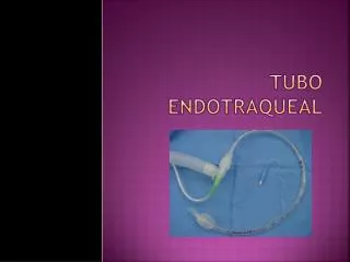 Tubo endotraqueal