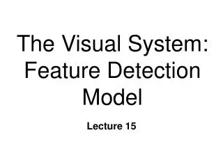 The Visual System: Feature Detection Model