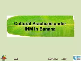 Cultural Practices under INM in Banana