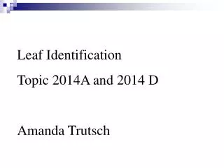 Leaf Identification Topic 2014A and 2014 D Amanda Trutsch
