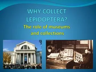 WHY COLLECT LEPIDOPTERA? The role of museums and collections
