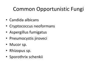 Common Opportunistic Fungi