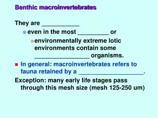 Benthic macroinvertebrates