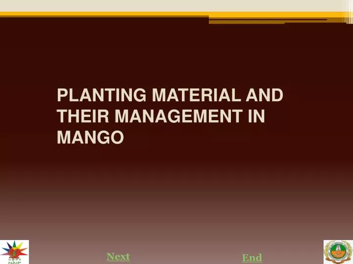 planting material and their management in mango