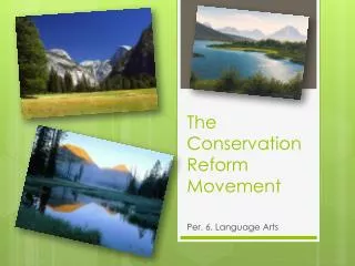 The Conservation Reform Movement