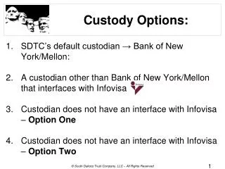 Custody Options: