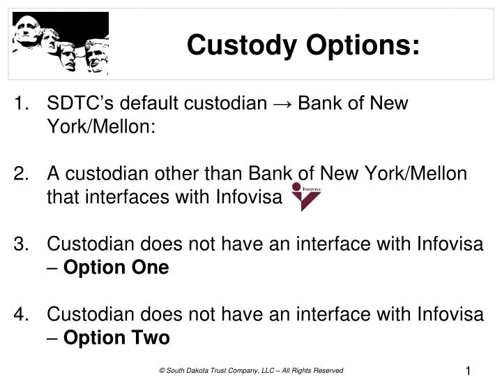 custody options