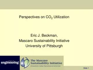 Perspectives on CO 2 Utilization