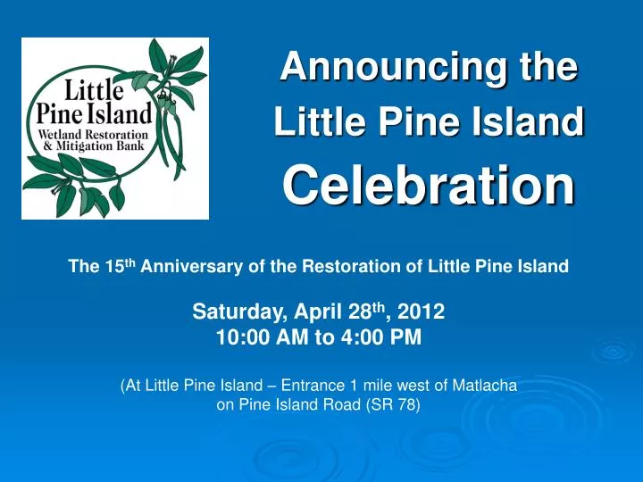 announcing the little pine island celebration