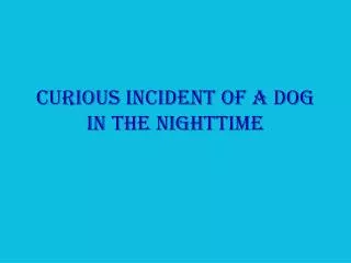 Curious Incident of a Dog in the Nighttime