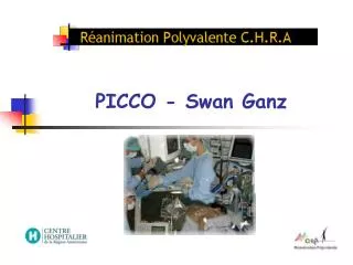 picco swan ganz