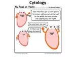 Cytology - slide 1