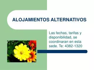 ALOJAMIENTOS ALTERNATIVOS