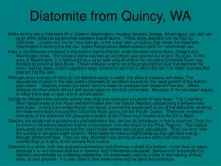 Diatomite from Quincy, WA
