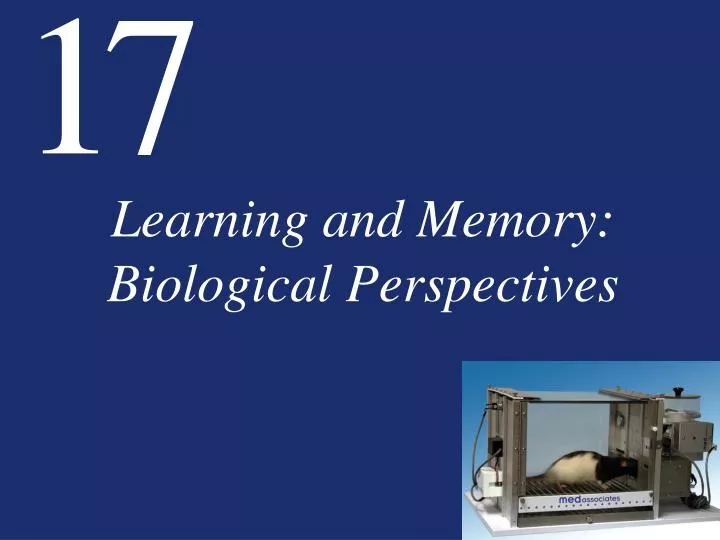 learning and memory biological perspectives