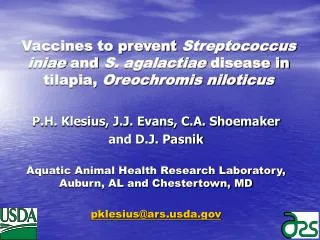 Vaccines to prevent Streptococcus iniae and S. agalactiae disease in tilapia, Oreochromis niloticus