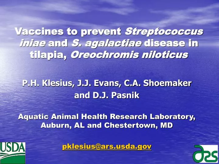 vaccines to prevent streptococcus iniae and s agalactiae disease in tilapia oreochromis niloticus