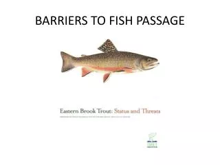 BARRIERS TO FISH PASSAGE