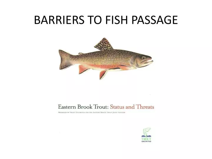 barriers to fish passage