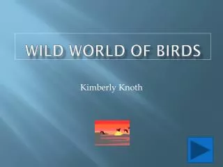 Wild World of Birds