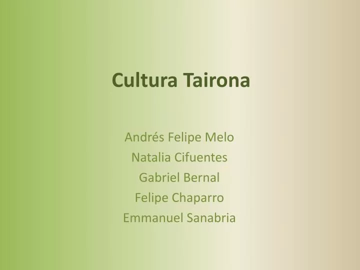 cultura tairona