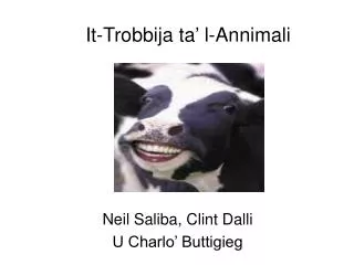 it t robbija ta l a nnimali