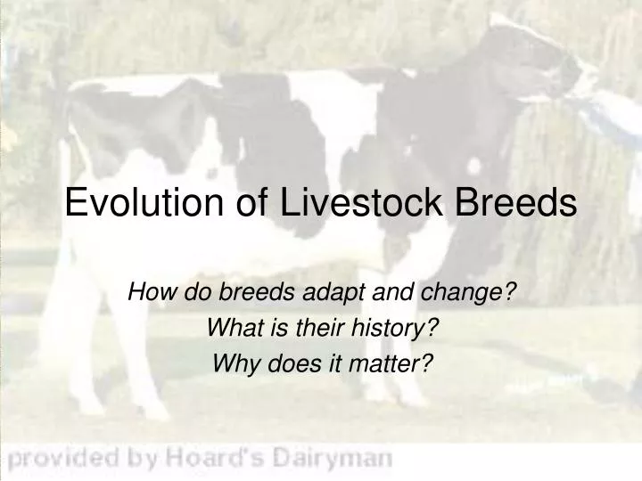 evolution of livestock breeds