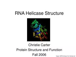 RNA Helicase Structure
