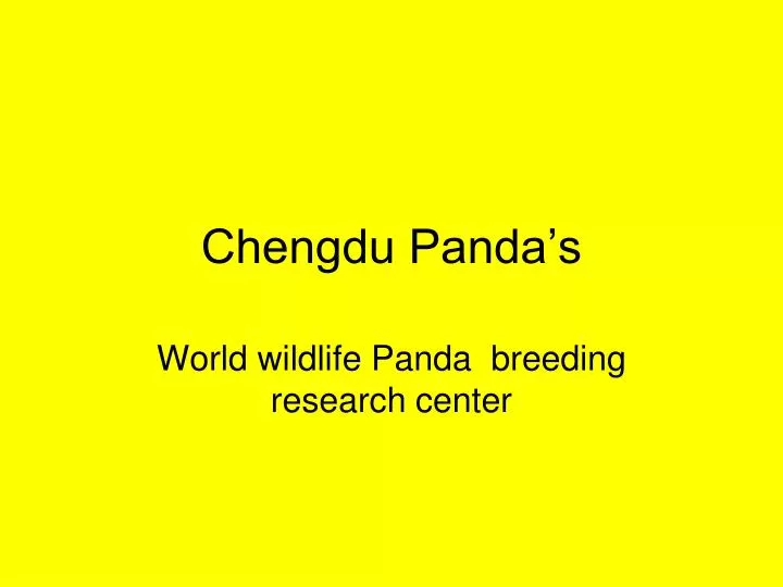chengdu panda s