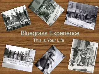 Bluegrass Experience