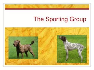The Sporting Group