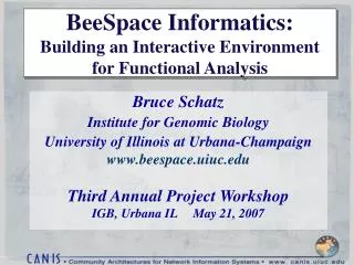 BeeSpace Informatics: Building an Interactive Environment for Functional Analysis