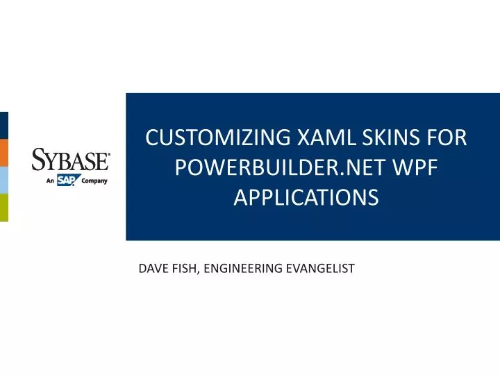 customizing xaml skins for powerbuilder net wpf applications