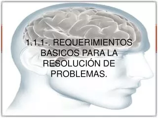 1 1 1 requerimientos basicos para la resoluci n de problemas