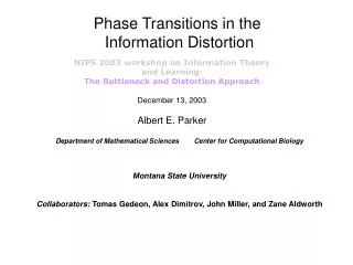 Phase Transitions in the Information Distortion