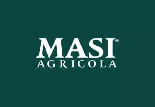 AppaxXimento Masi Expertise