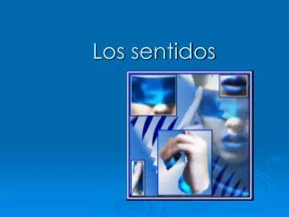 los sentidos
