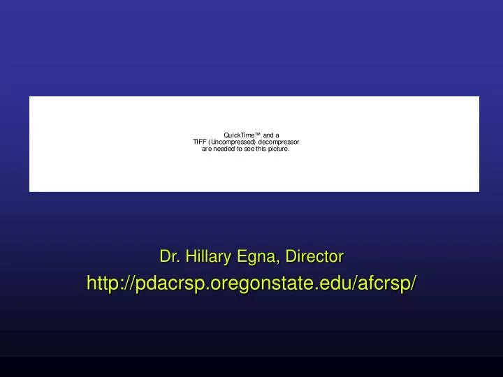 dr hillary egna director http pdacrsp oregonstate edu afcrsp