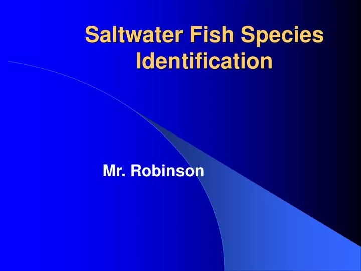 saltwater fish species identification