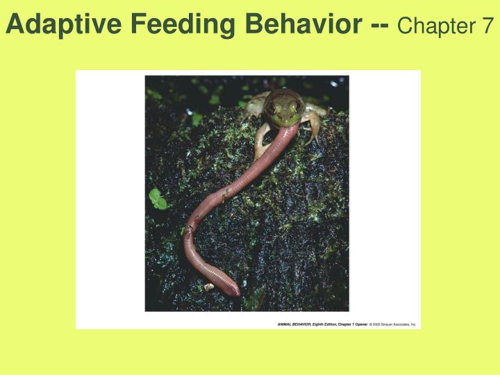 adaptive feeding behavior chapter 7