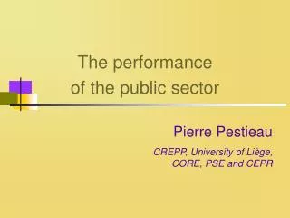 The performance of the public sector